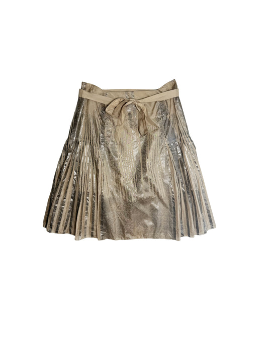 Silk Metallic Skirt