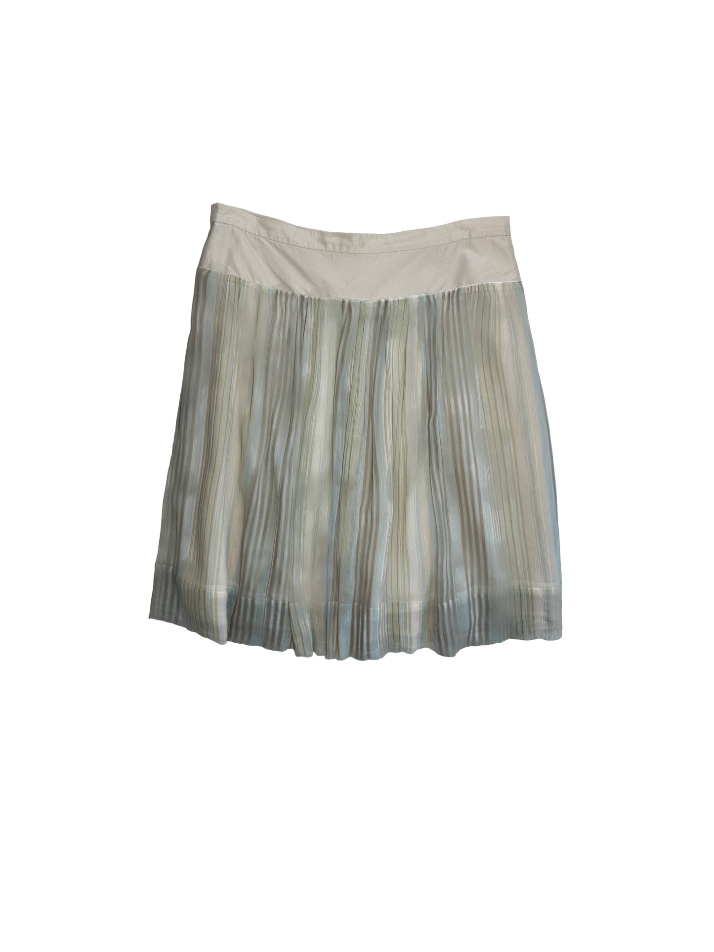 Sheer Silk Skirt