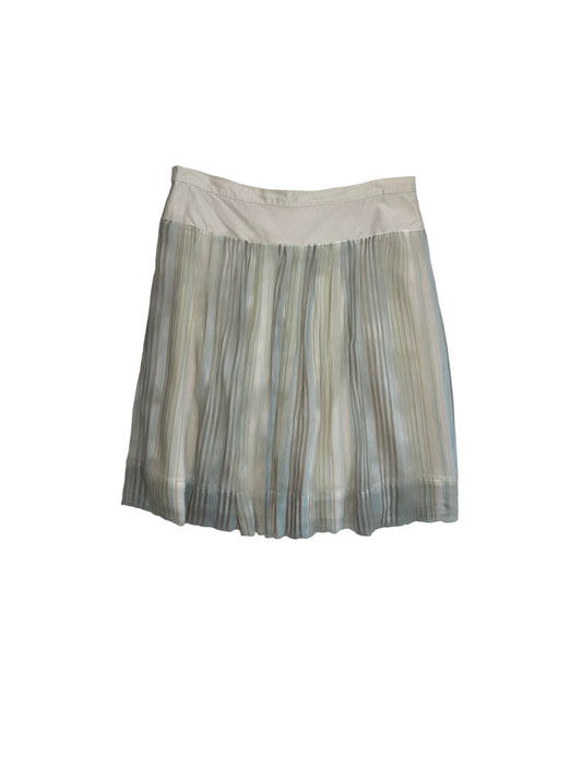 Sheer Silk Skirt