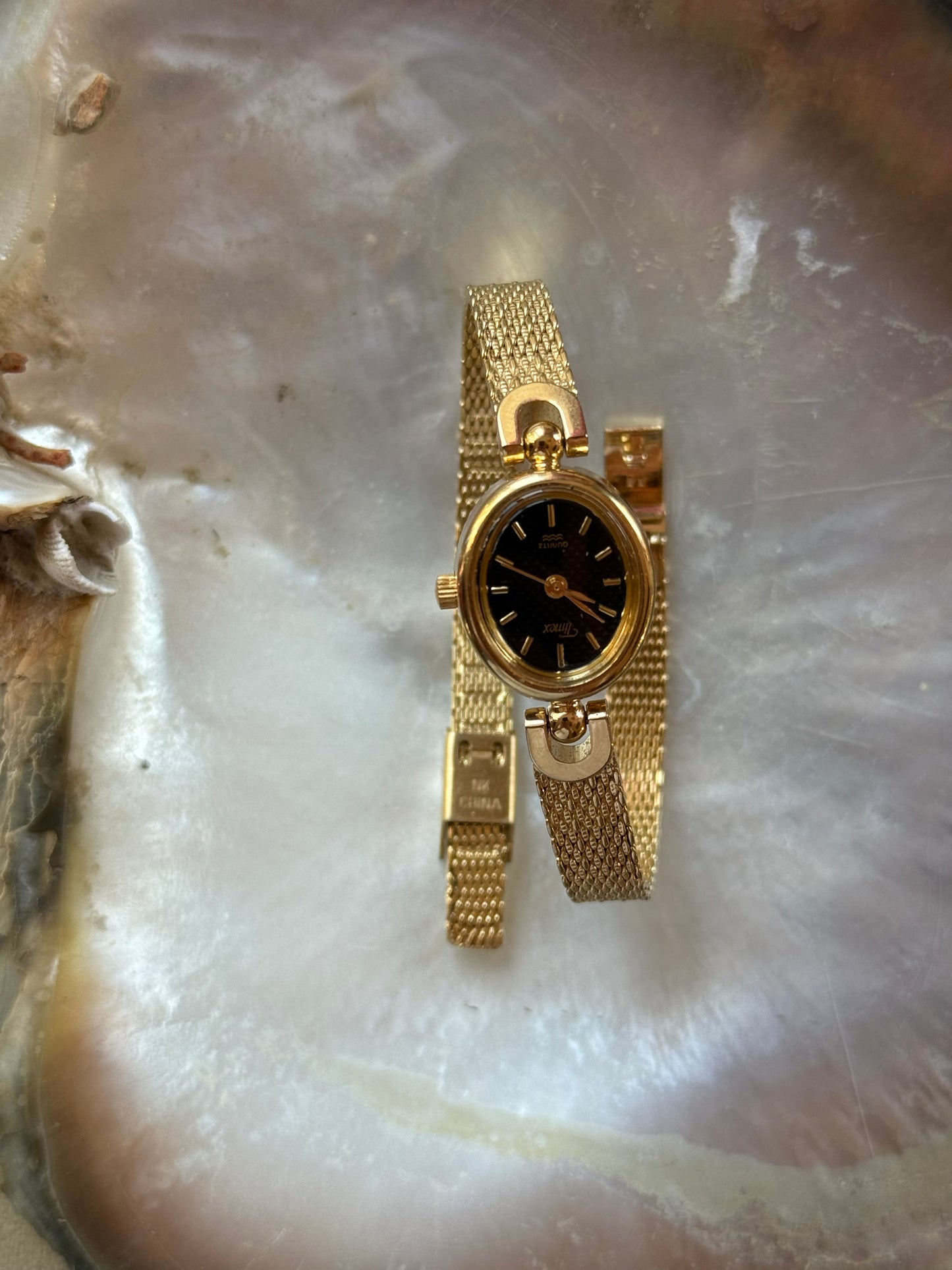 Vintage Timex Watch